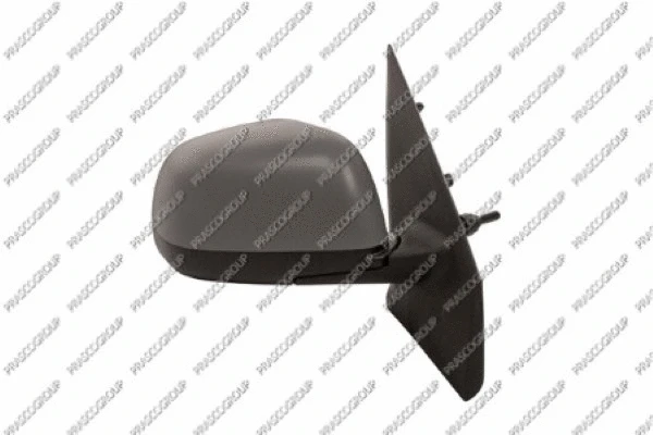 Exterior Mirror (DA7107013)