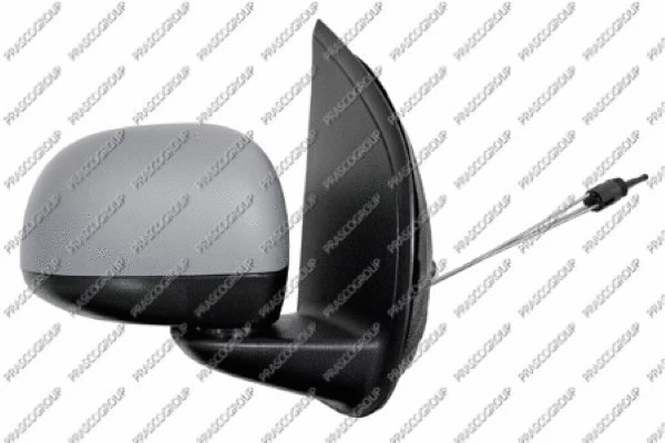 Exterior Mirror (FT1247013)