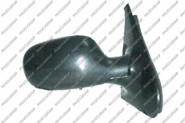 Exterior Mirror (RN3227123)