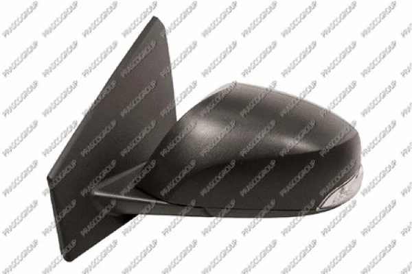 Exterior Mirror (RN4247334P)