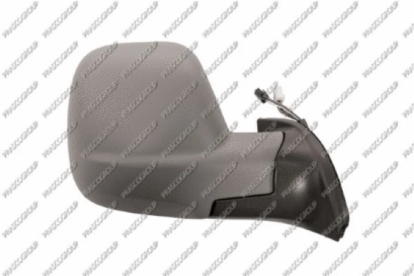 Exterior Mirror (PG9107223)