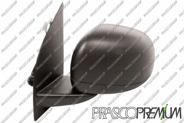 Exterior Mirror (FT1237125P)