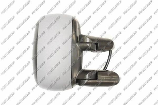 Exterior Mirror (FT9087323)