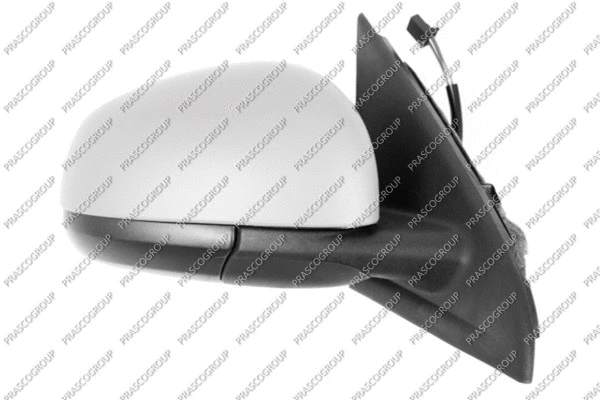 Exterior Mirror (RN2027213)
