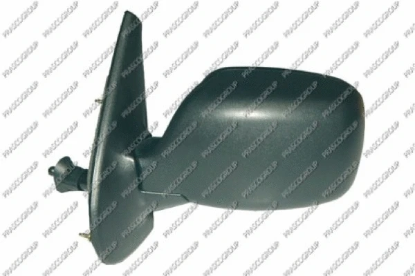 Exterior Mirror (RN9167214)