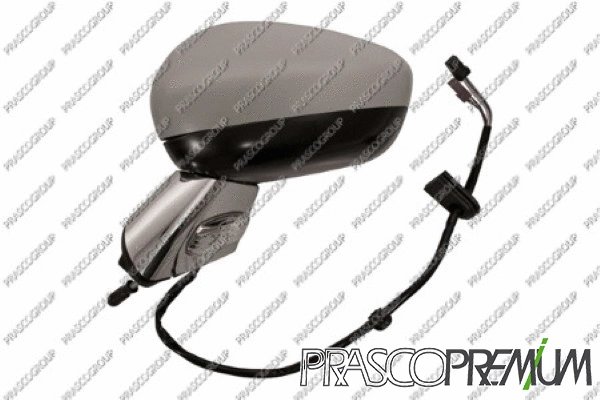 Exterior Mirror (CI3247334)