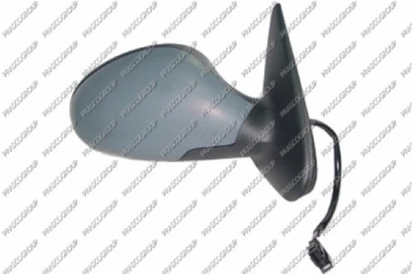 Exterior Mirror (ST5207313)