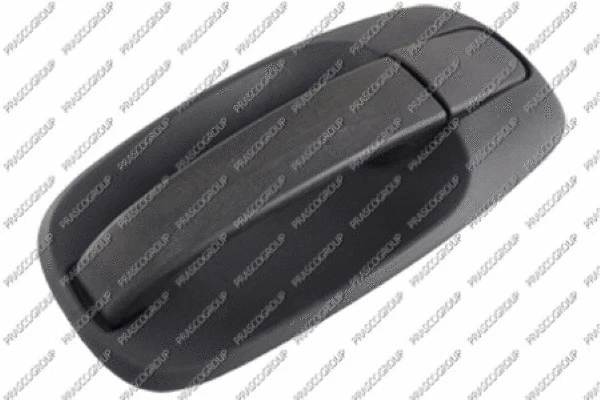 Exterior Door Handle (OP9328141)