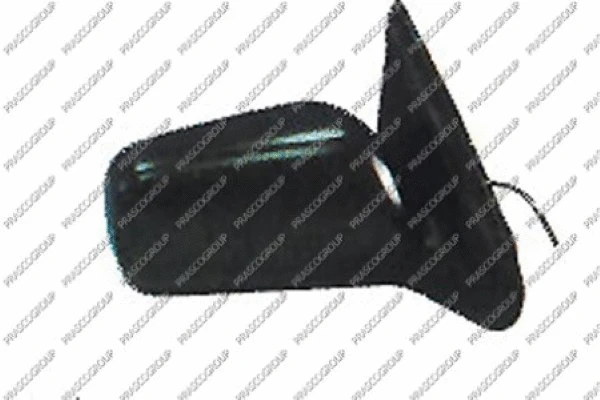 Exterior Mirror (DS1767203)