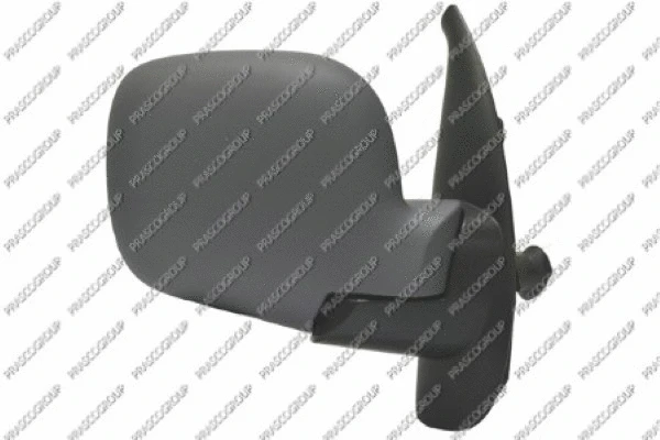 Exterior Mirror (RN9187133)