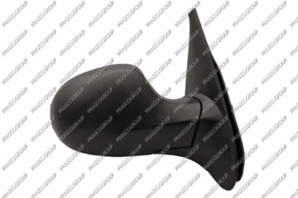 Exterior Mirror (RN3267313)