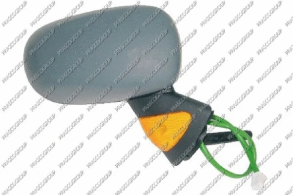 Exterior Mirror (RN3087323)