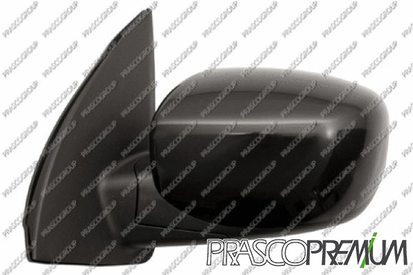 Exterior Mirror (HN0027204P)