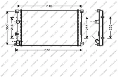 Radiator, engine cooling (DS958R004)