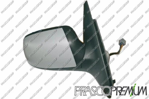 Exterior Mirror (FD1097313P)