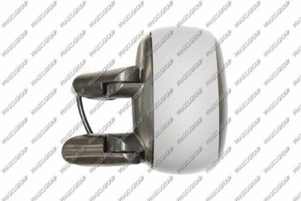 Exterior Mirror (FT9087324)
