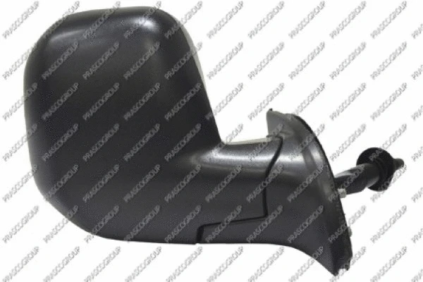 Exterior Mirror (CI9187113)