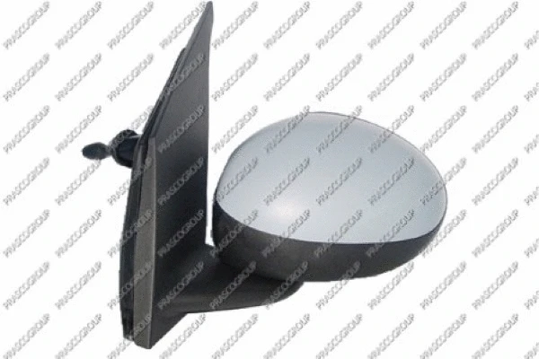 Exterior Mirror (CI2017124)