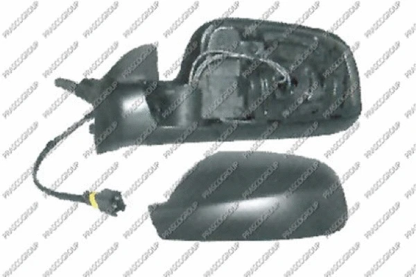 Exterior Mirror (PG4207314)