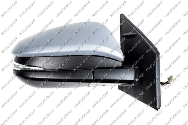 Exterior Mirror (TY2917313)