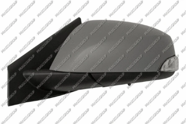 Exterior Mirror (RN0867334)