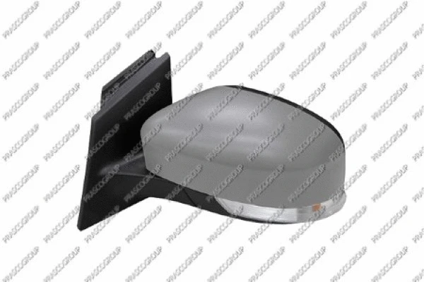 Exterior Mirror (FD4287314)