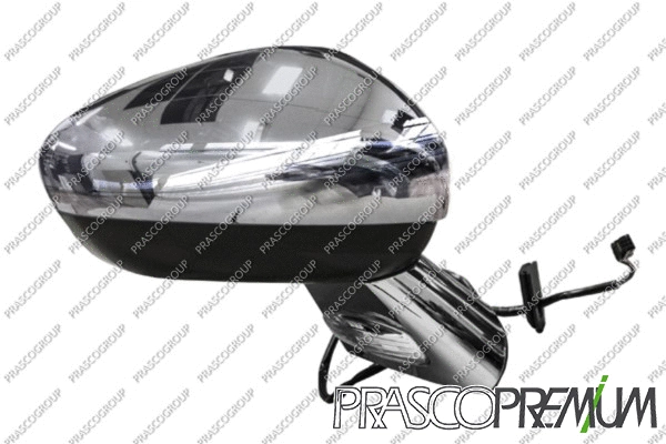 Exterior Mirror (CI3247343)