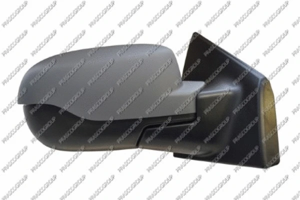 Exterior Mirror (RN3277123)