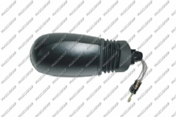 Exterior Mirror (FT1337313)