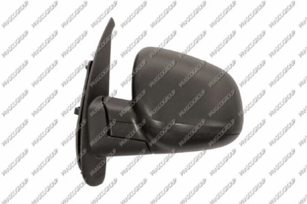 Exterior Mirror (RN9217304)