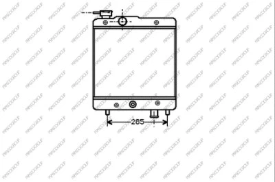Radiator, engine cooling (FT119R001)