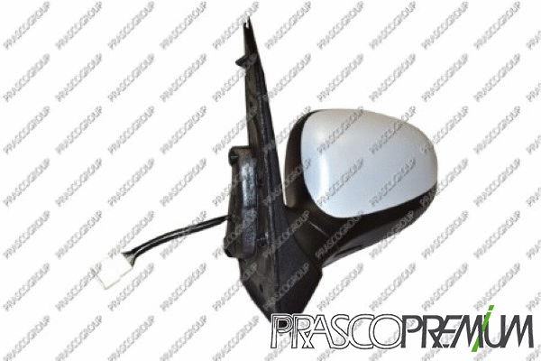 Exterior Mirror (FD0087314P)