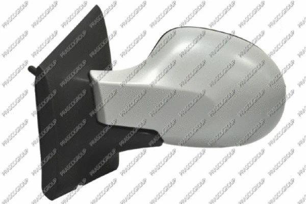 Exterior Mirror (RN3067124)
