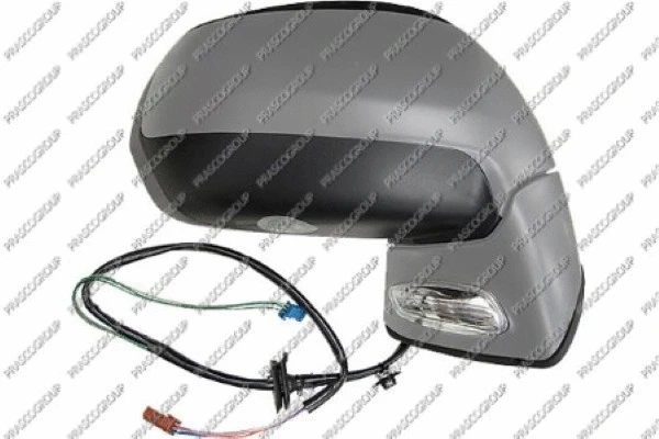 Exterior Mirror (CI4267313)