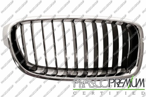 Radiator Grille (BM0282003)