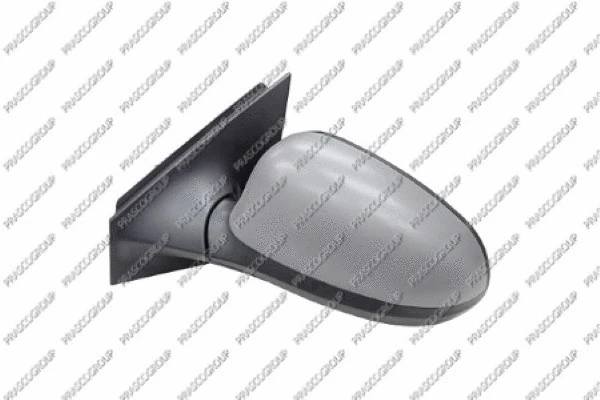 Exterior Mirror (LA0047124)