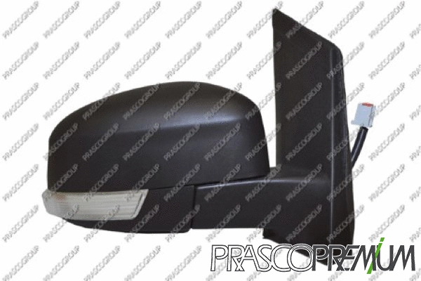 Exterior Mirror (FD4267303P)