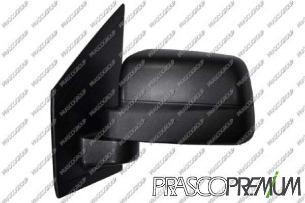 Exterior Mirror (FD9347304P)