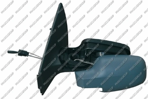 Exterior Mirror (RN4207124P)