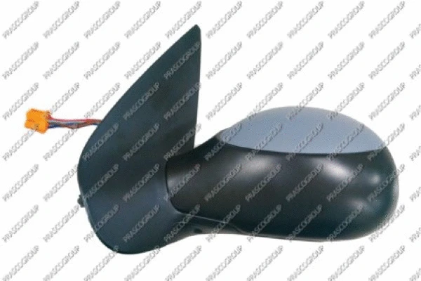 Exterior Mirror (PG0097324)