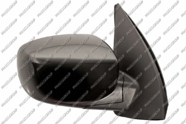 Exterior Mirror (HN0027203)