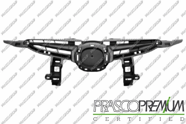 Radiator Grille (MZ3092011)