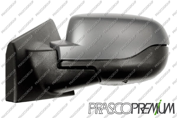 Exterior Mirror (RN3277324P)