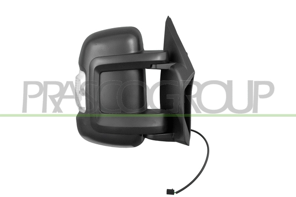 Exterior Mirror (FT9307006)