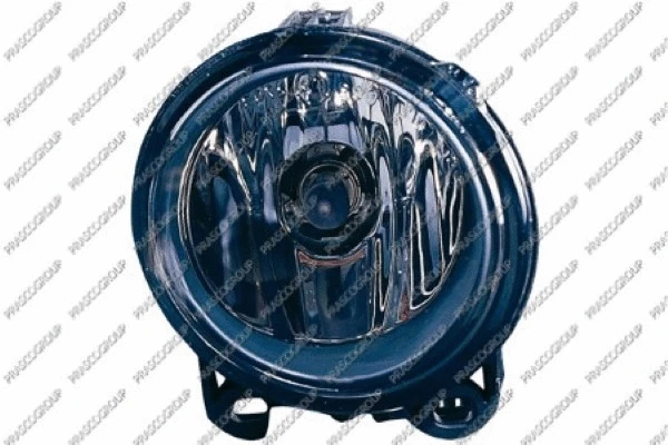 Front Fog Light (BM8204413)