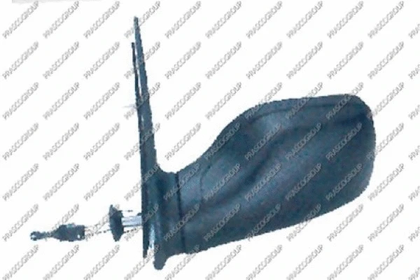 Exterior Mirror (PG0077314)