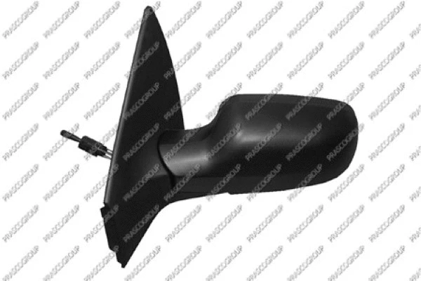Exterior Mirror (RN4207114P)