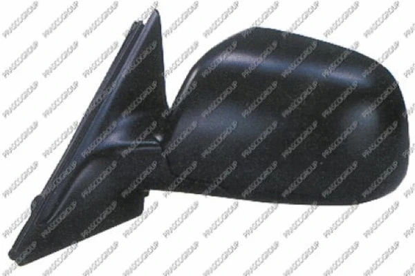 Exterior Mirror (AD0317314)