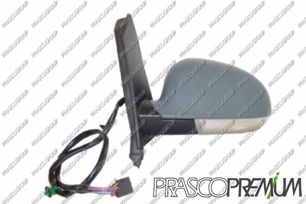 Exterior Mirror (VG0407324P)