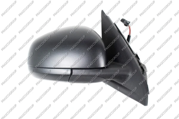 Exterior Mirror (RN2027203)